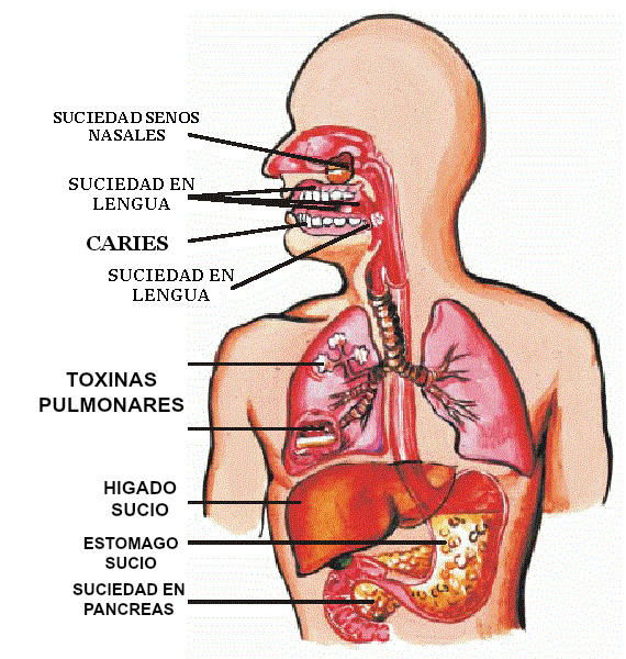 Combatir El Mal Aliento Herboristeria Plaza Real De Lorca Artesania De La Salud