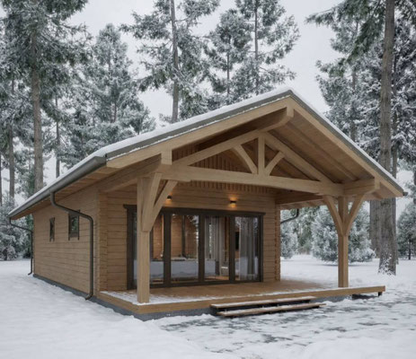 maison petit prix,maison bois pas cher,maison bois en kit,maison auto construction,plan maison bois,maison en kit,construction maison,fabricant maison bois,chalet bois petit prix,plan maison bois,maison à petit prix,acheter maison bois,chalet en kit,