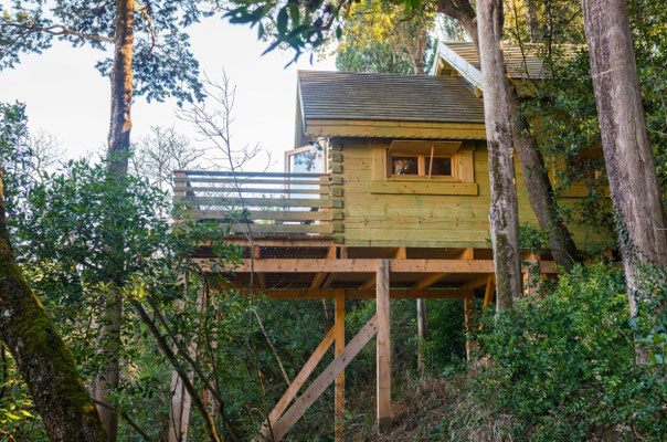 Habitation insolite sans permis de construire,Habitat insolite à vendre,Logement atypique pas cher,Fabricant cabane insolite, Rentabilité hébergement insolite, Projet création hébergement insolite,Logement insolite ocasion,pods,logement atypique,glamping,
