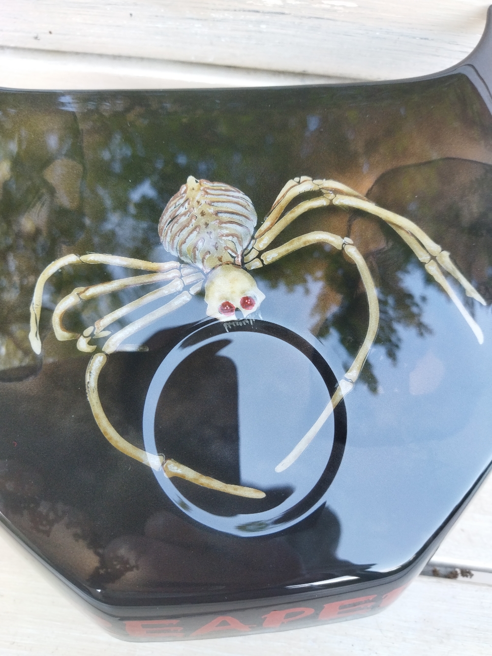 Skullspider auf der REAPER RYKER 900