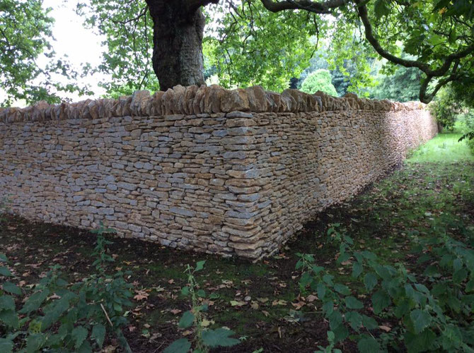 High wall in woodland area with cock and hens on top of the wall