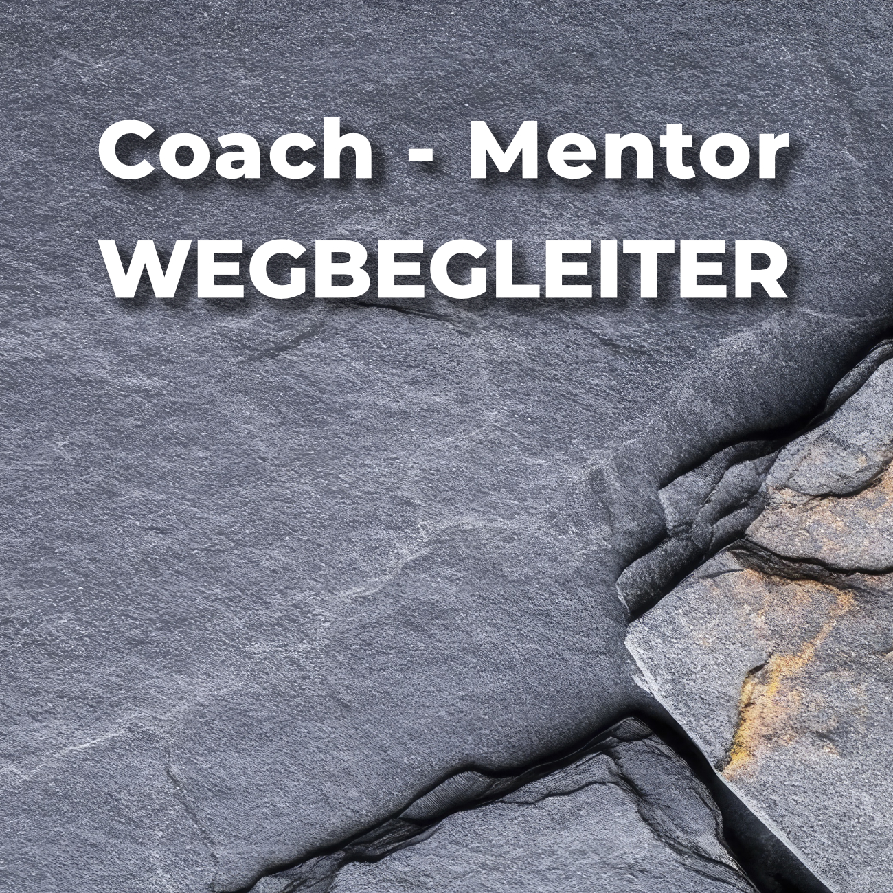 Mentoren, Wegbegleiter, Coach – wessen Weg gehen wir wirklich?