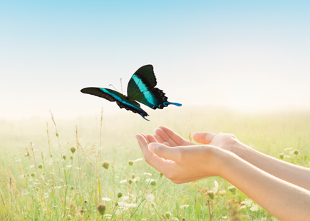 wingwave – Das Kurzzeit-Coaching