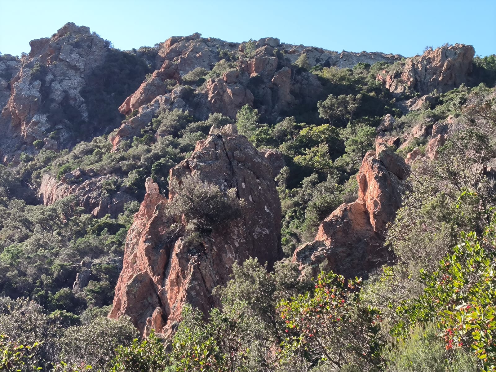 19 décembre 2022 (douce) SainteBarbe Draguignan Les Ripatons de Flayosc