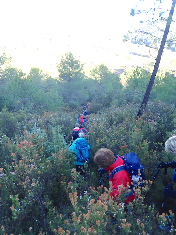 19 décembre 2022 (douce) SainteBarbe Draguignan Les Ripatons de Flayosc
