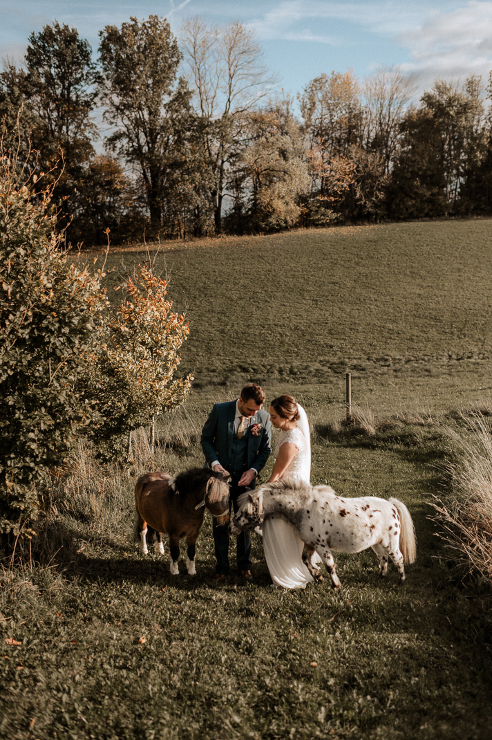Brautpaar bei Gut Thurnsberg mit Shetland-Ponys. Hochzeitsfotografen Gut Thurnsberg.