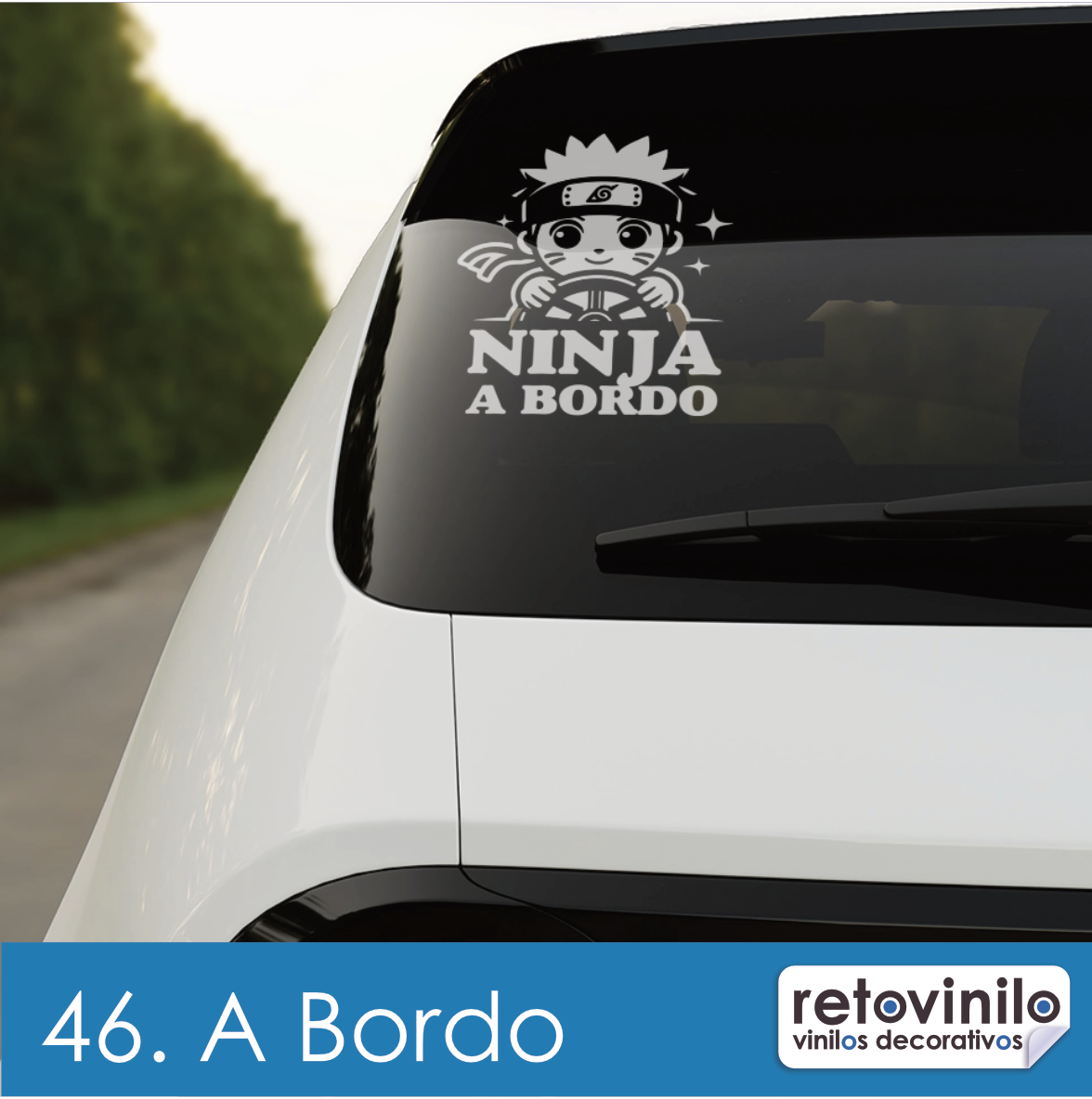 A Bordo, Ninja
