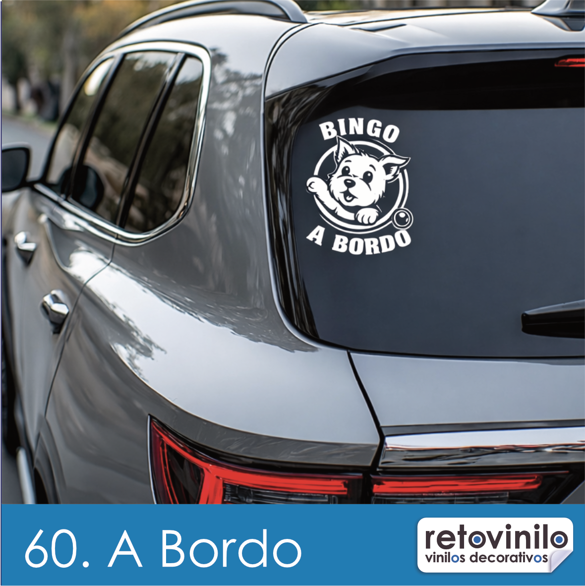 A Bordo, Bingo