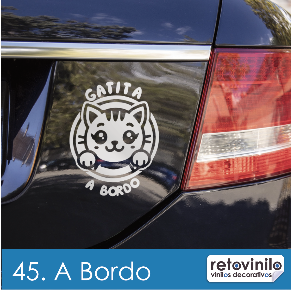 A Bordo, Gatita