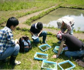 水生生物モニタリング（年4回）