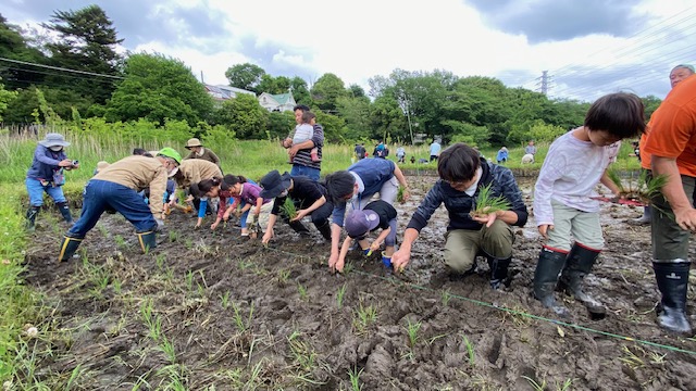 家族一緒に田植え