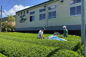 株式会社 坂本園