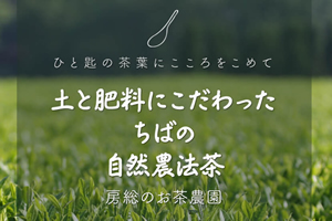 有限会社 武井製茶工場