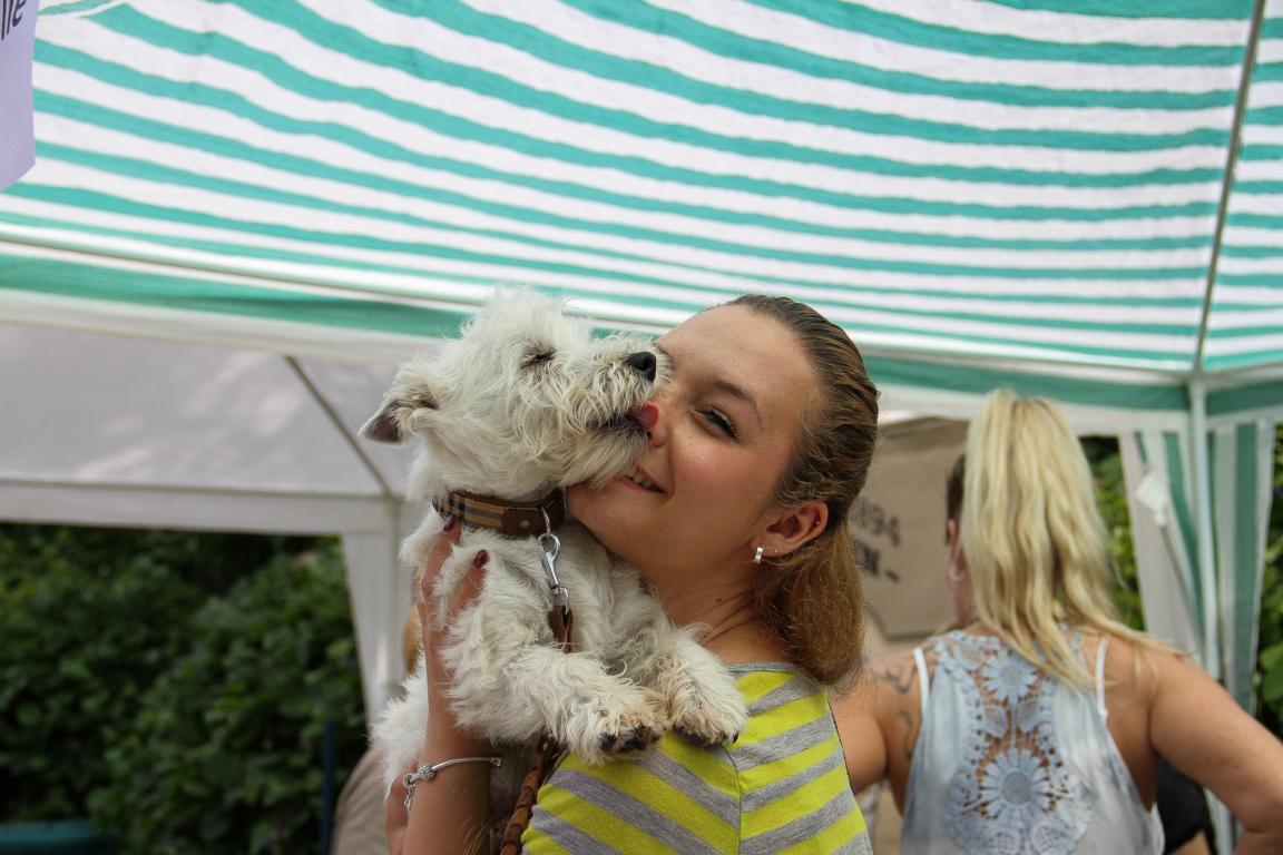 Rassebeste Klub für Terrier OG Dormagen