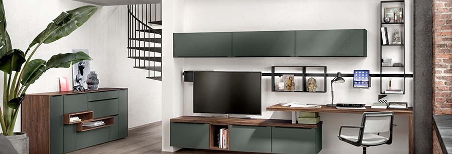 Modernes Wohnzimmer mit grünem Wohnmöbel- und Arbeitsplatzsystem, TV, Schreibtisch, Wandregalen und Design-Pflanze in offenem Loftstil.