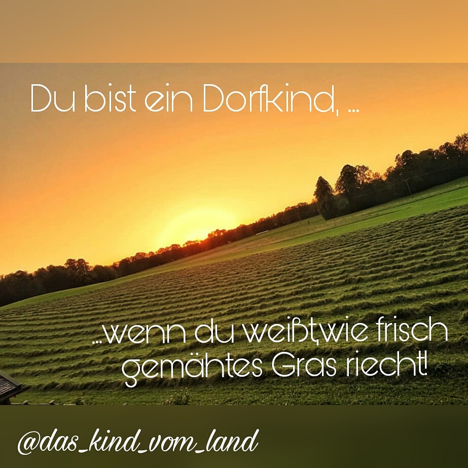 Dorfkind Sprüche spruechetogos Webseite!