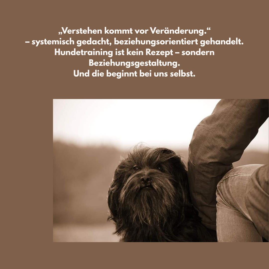 Systemische Beratung im Hundetraining – Den Menschen mitdenken