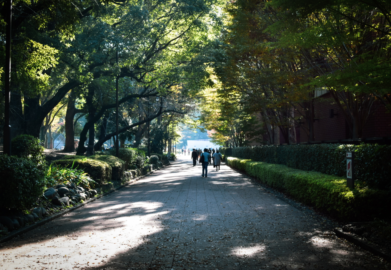 【カメラマン】上野公園に行ってきました