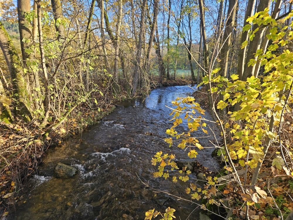 Warme Steinach bei Mittlernhammer.