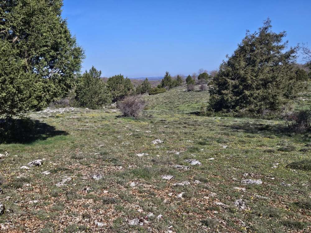 Auf dem Camino del Cid, Layna entgegen.