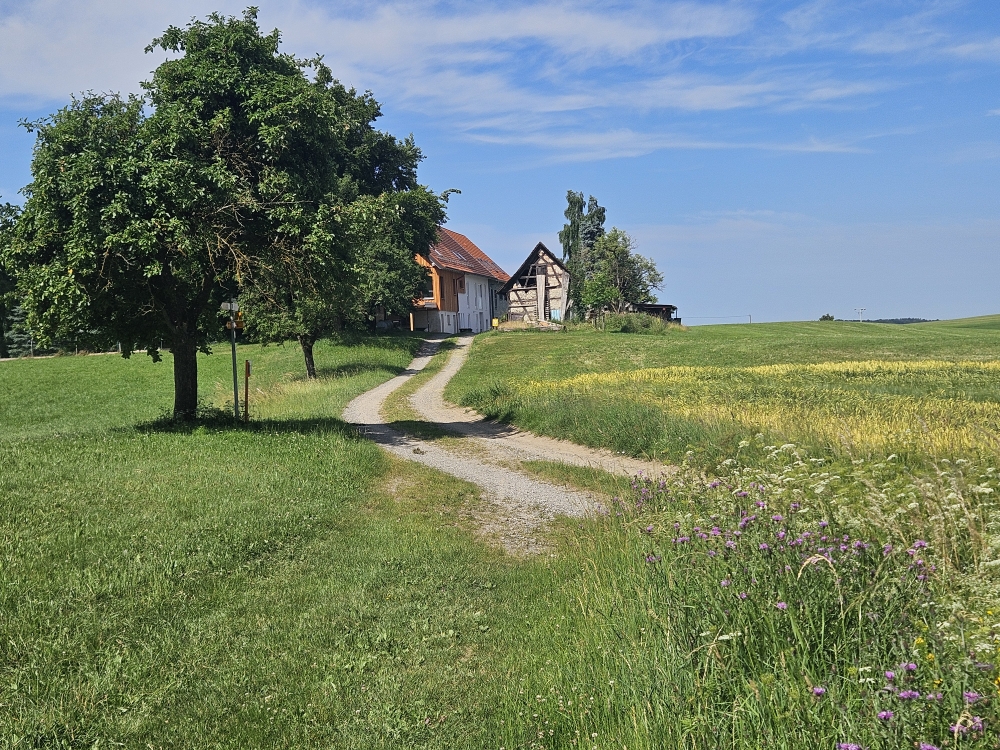 Bei Oberatzenberg