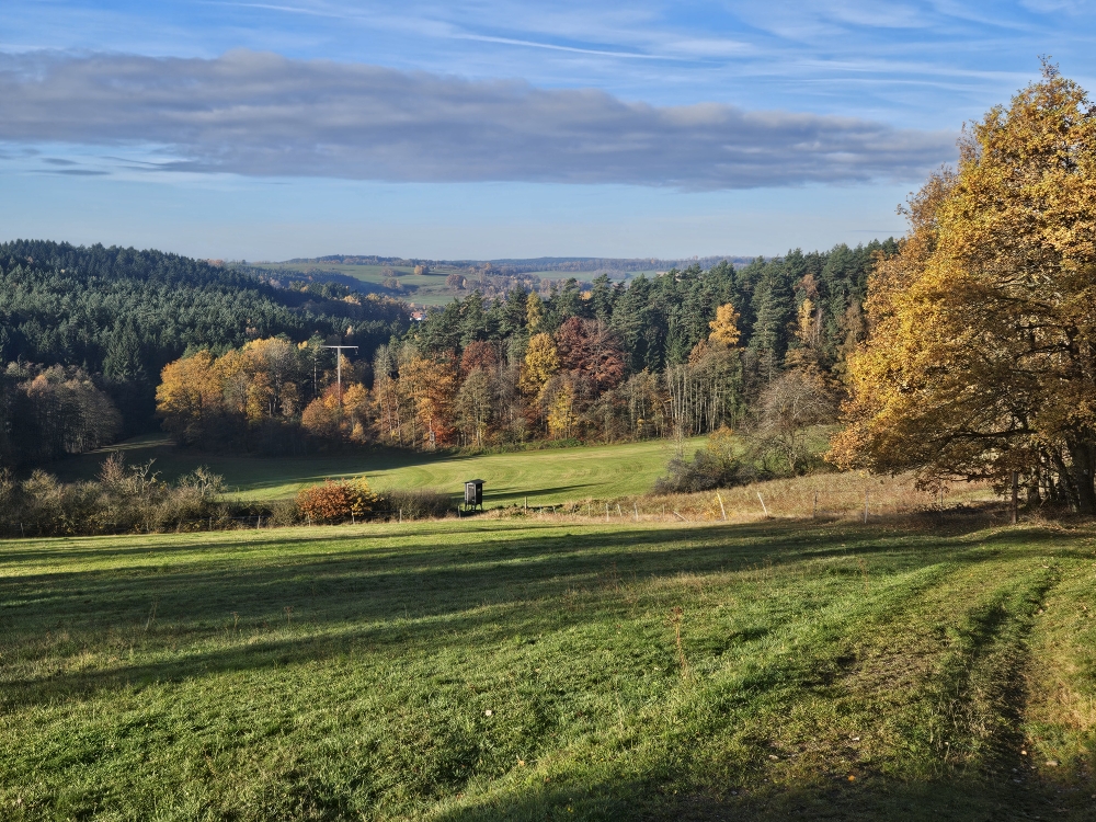 Altenreuth. Blick nach Süden.