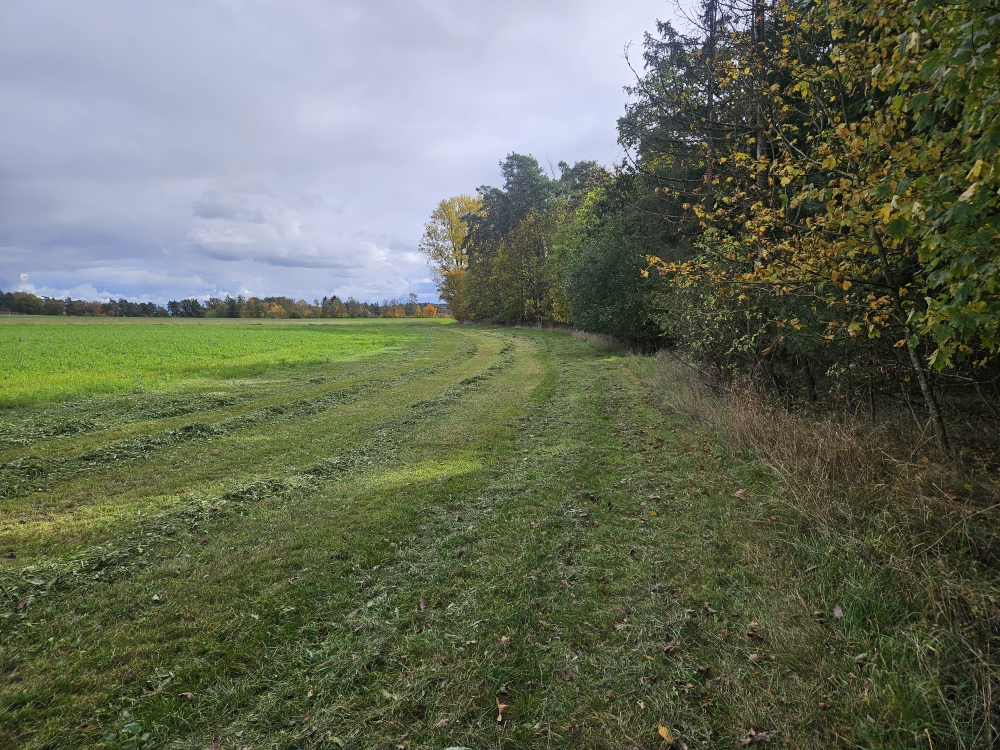 Bei Lengendorf.