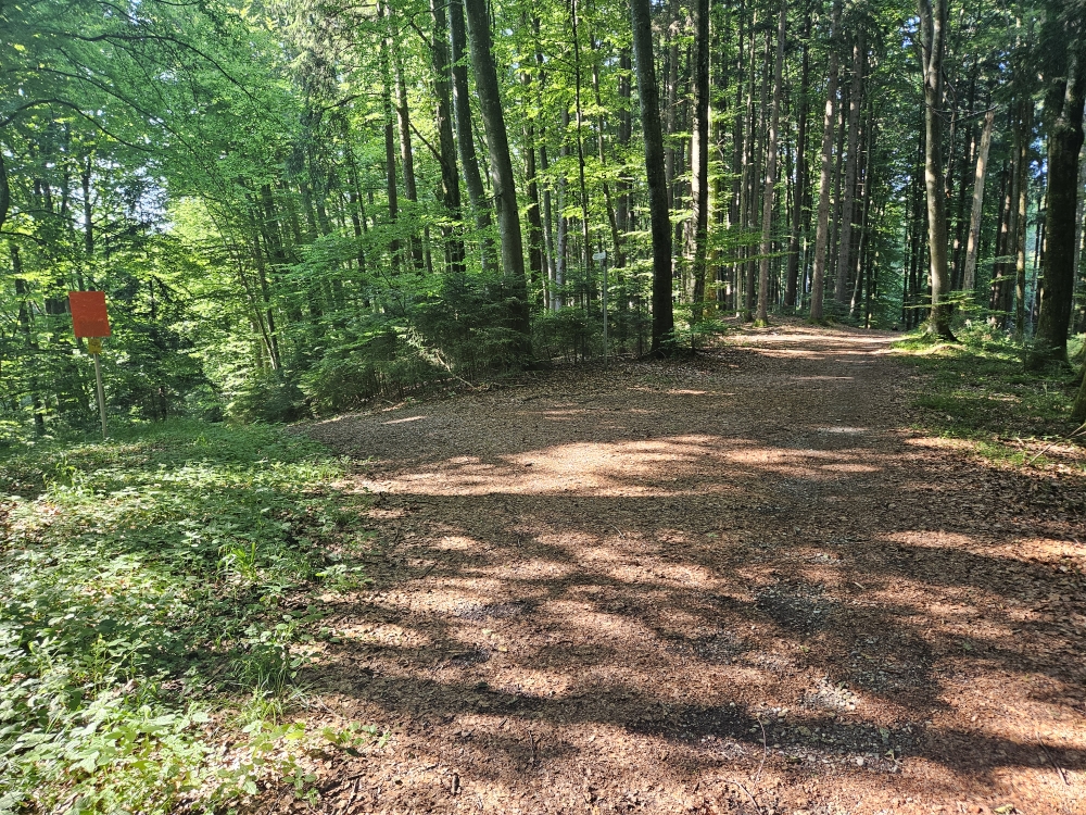 Auf dem HW4 und der EHWS bei Mittelurbach.