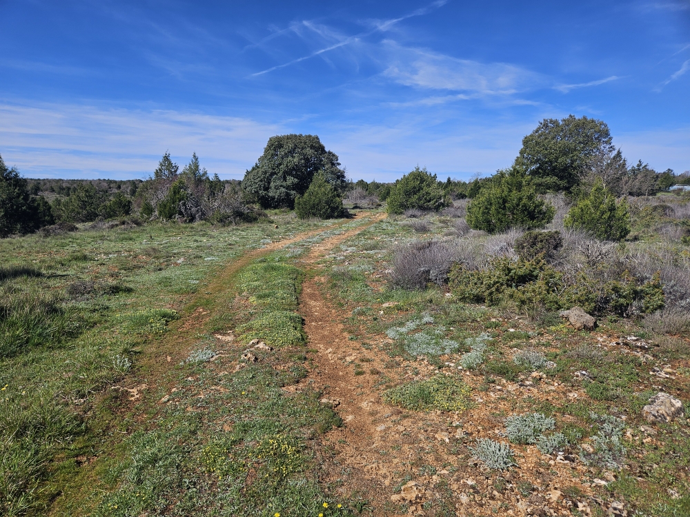 Alto de la Mata.