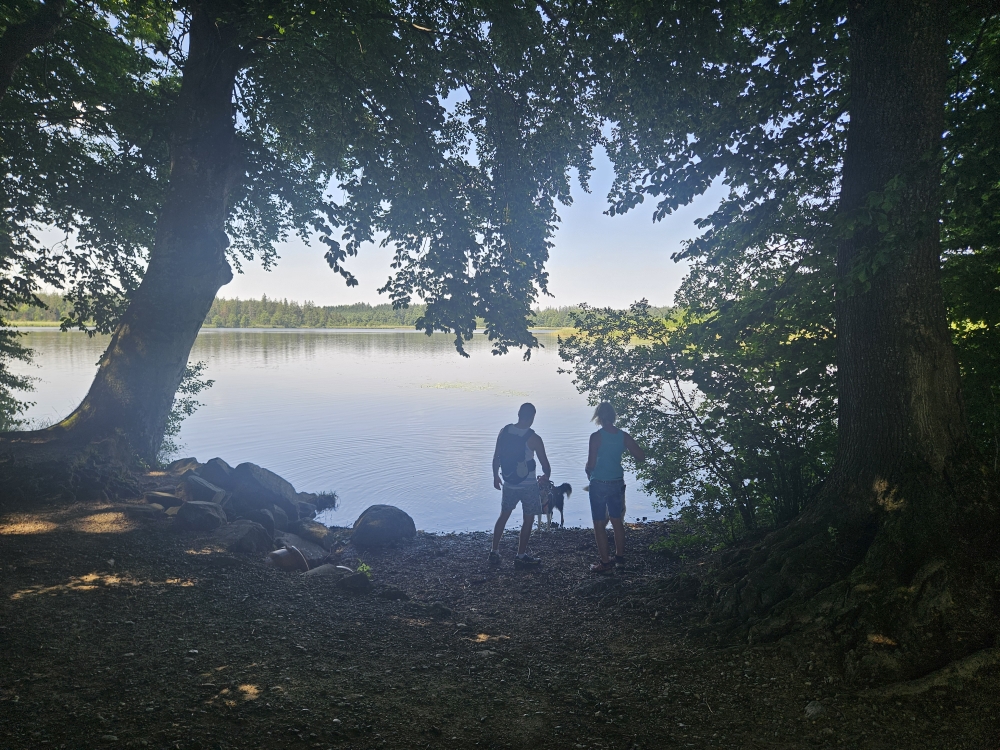 Holzmühleweiher.