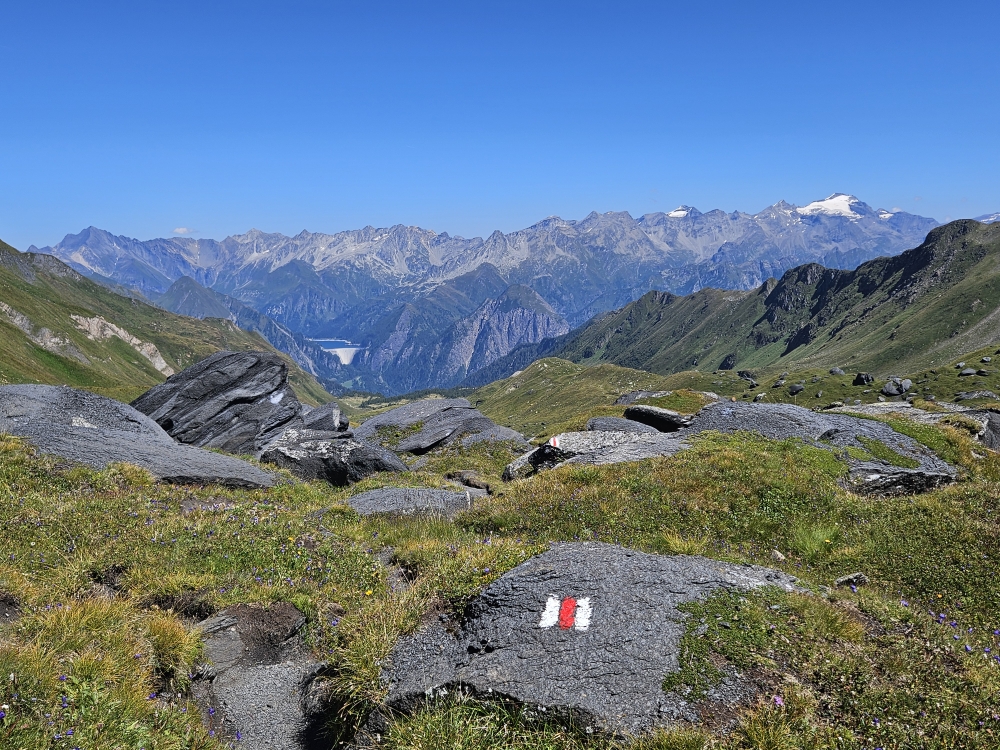 Gana Negra, Blick zur Adulakette mit Luzzone-Stausee (unten links) und Rheinwaldhorn (rechts oben).