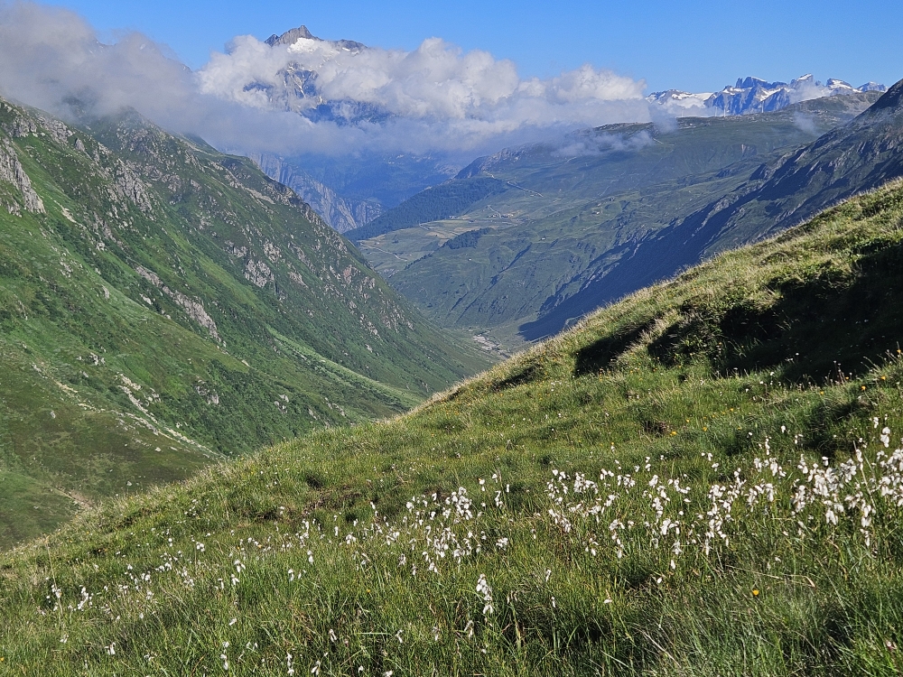 Aufstieg zum Pass Maighels, Blick zurück durchs Unteralptal.