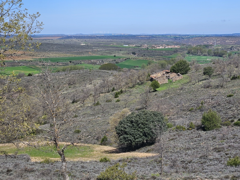 Layna in Sicht. Am Horizont Medinaceli.