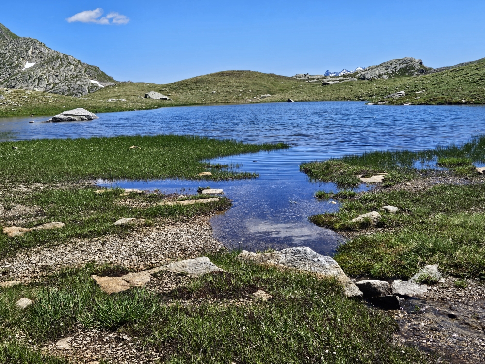 Val Cadlimo.