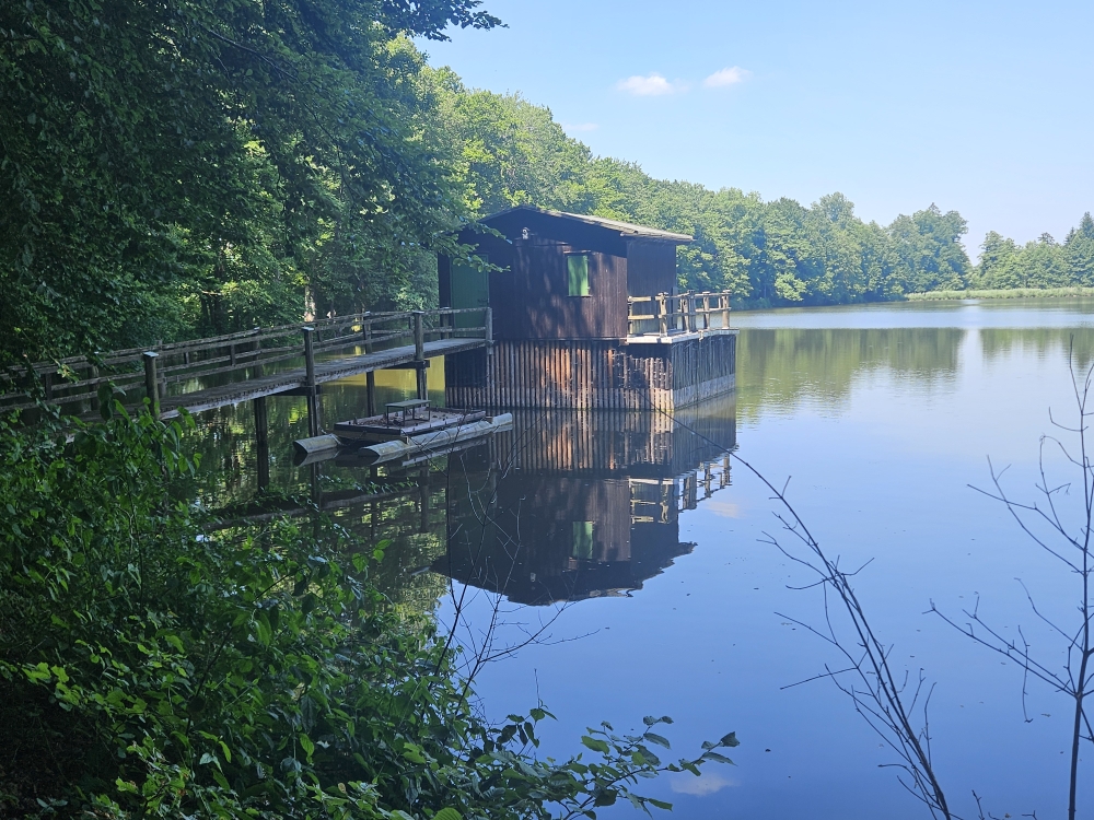 Langwuhrweiher.