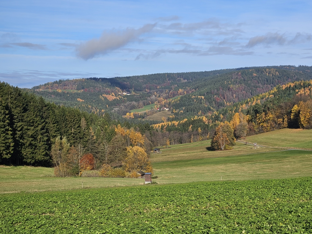 Sophiental mit Auenberg.