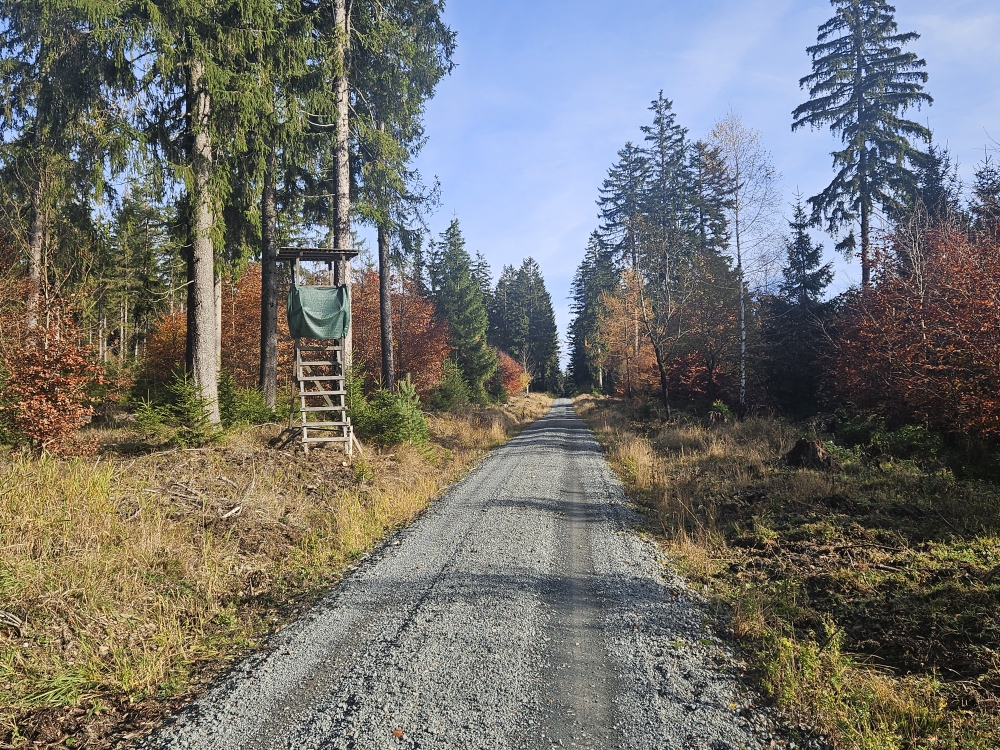 Muckenreuther Rangen (Wasserscheide).
