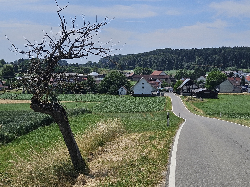 Schwarzenbach.