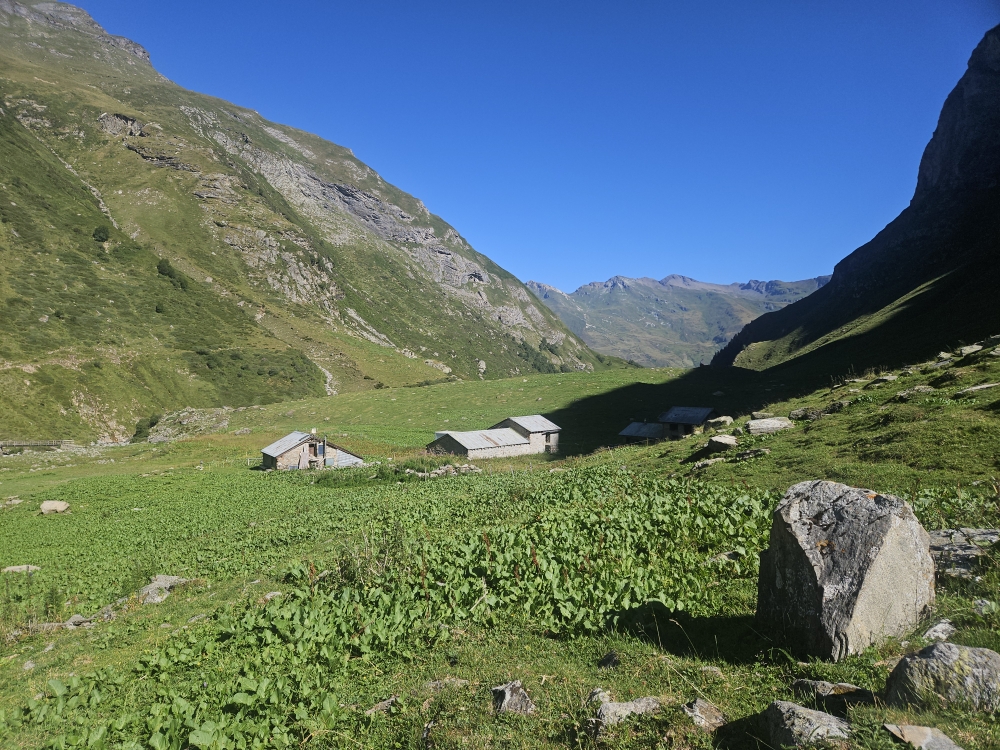 Alp de Rog.