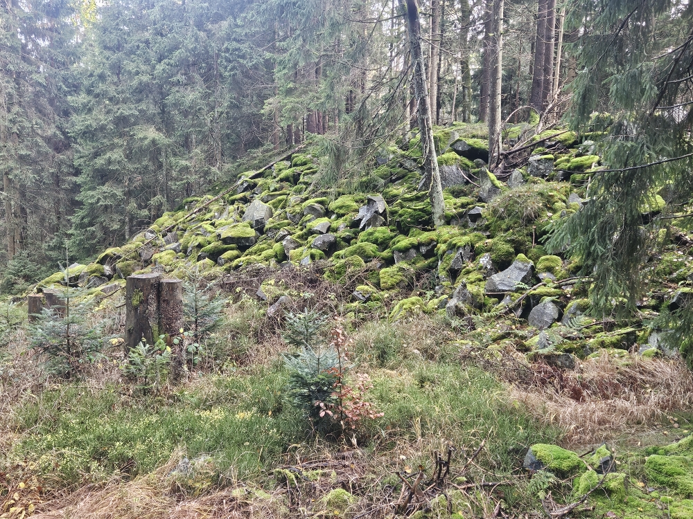 Felsen am Ochsenkopf.