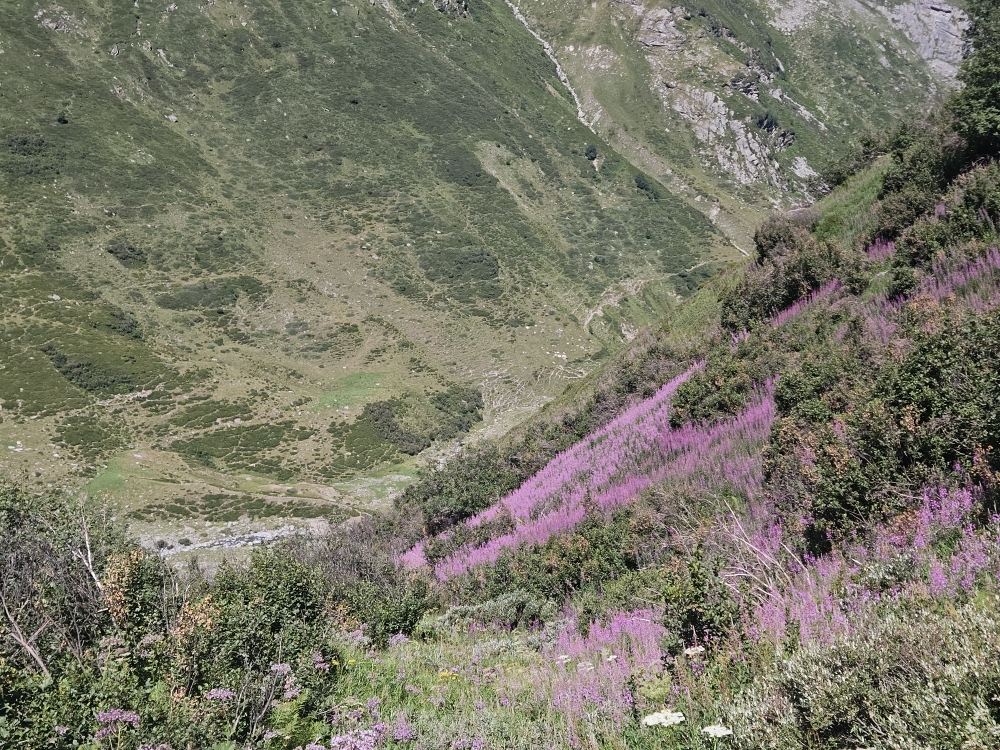 Hoch über der Alp de Rog.