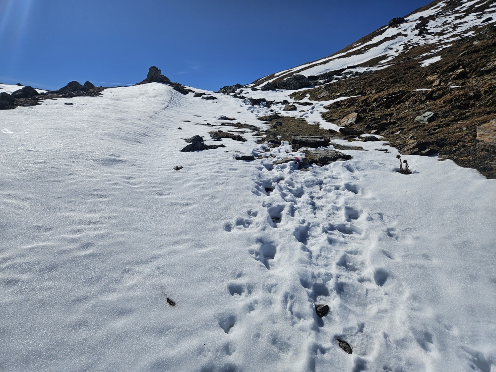 Septemberschnee auf dem Valserberg.