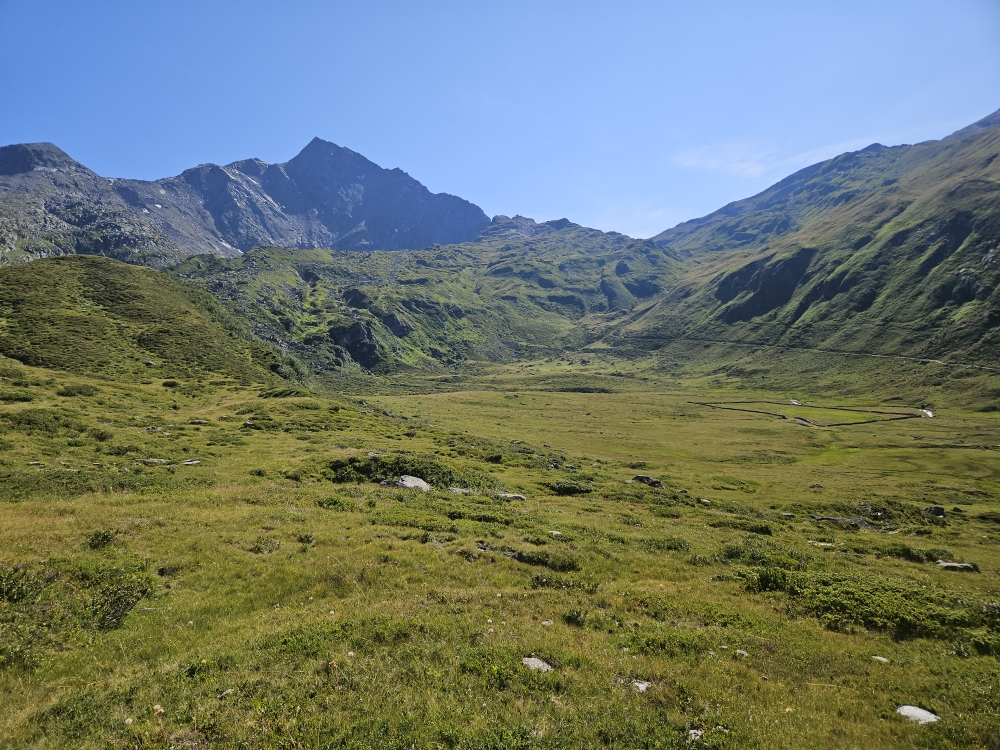Abstieg zur Tamboalp.
