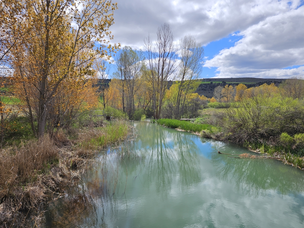 Río Gallo.