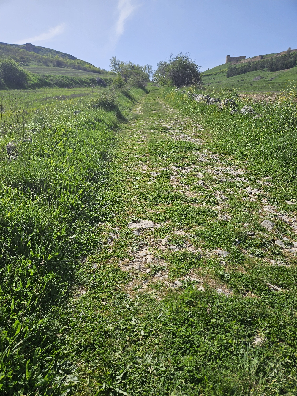 Aufstieg nach Medinaceli. Römerstrasse.