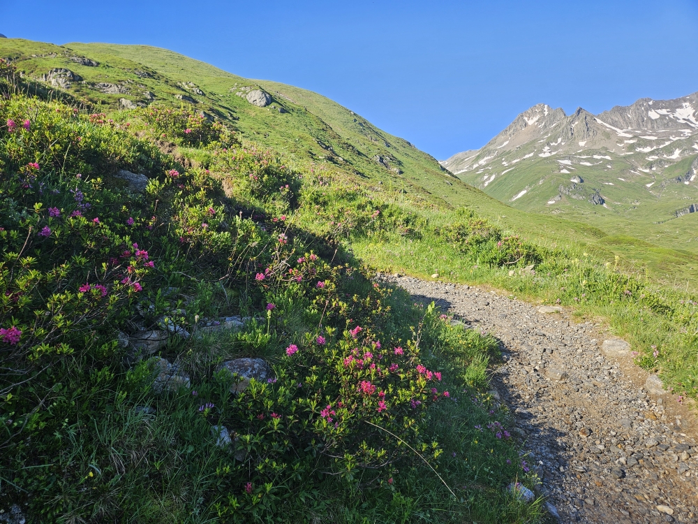 Aufstieg zum Pass Maighels.