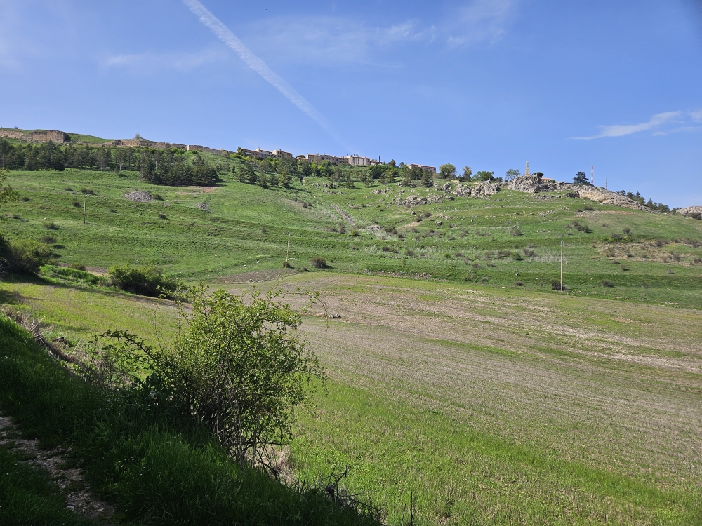 Unter Medinaceli.