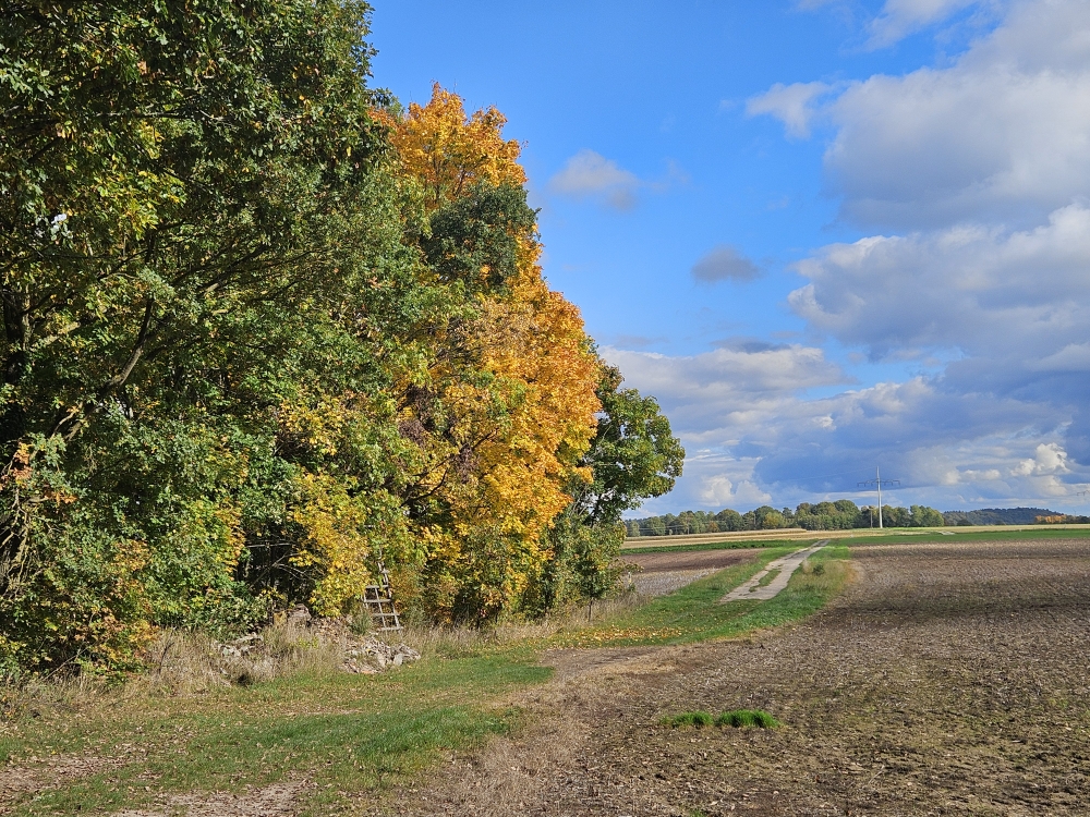 Bei Linden.