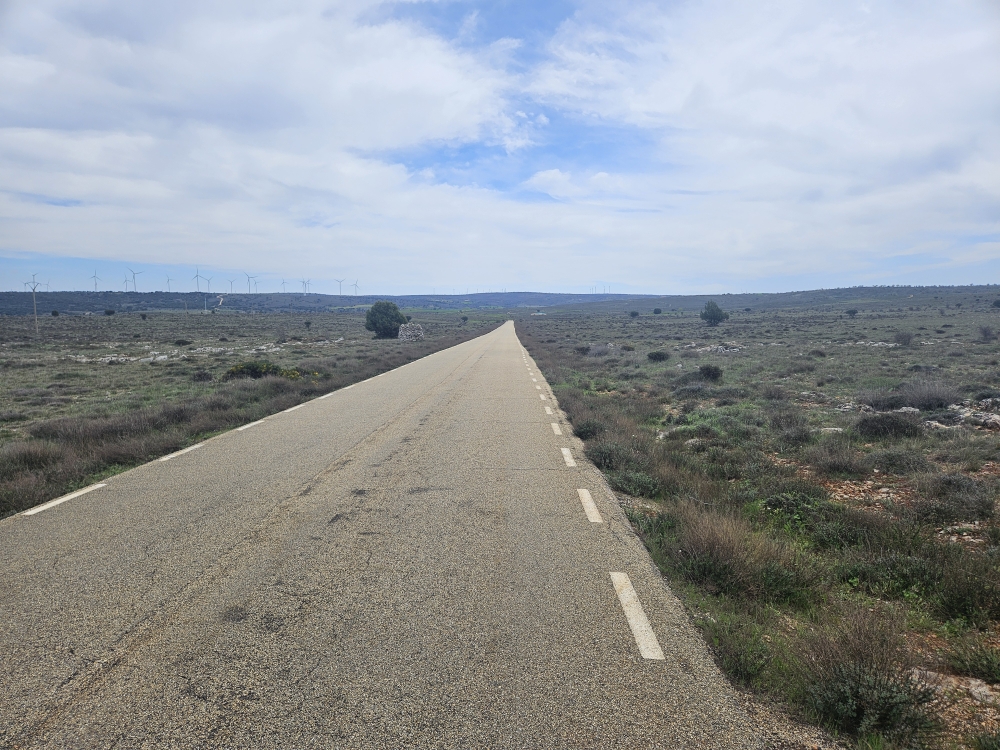 Strasse nach Medinaceli.