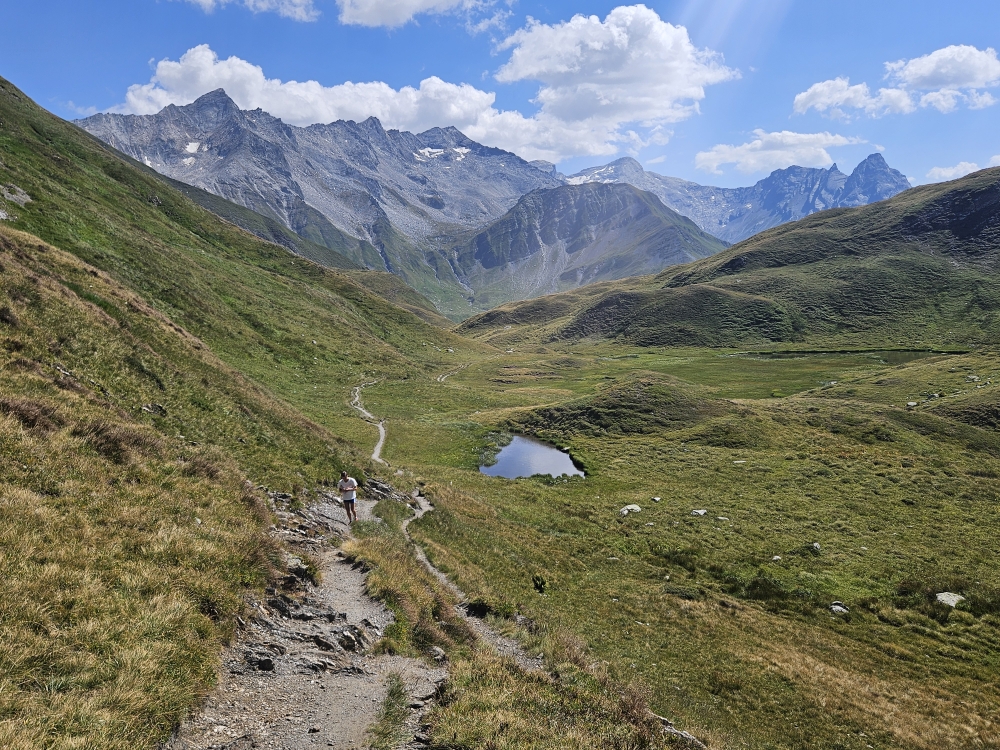 Rheinwaldhorn-Blick vor Motterascio-Hütte.